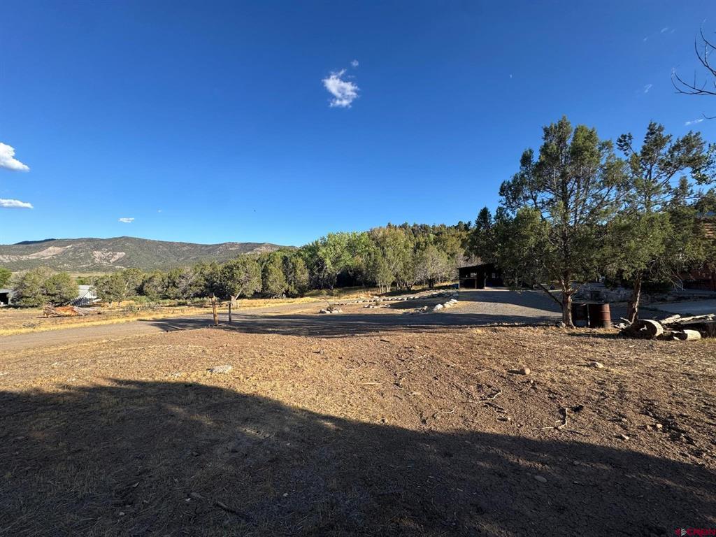 87 & 133 Lake Fork Arboles CO 81121