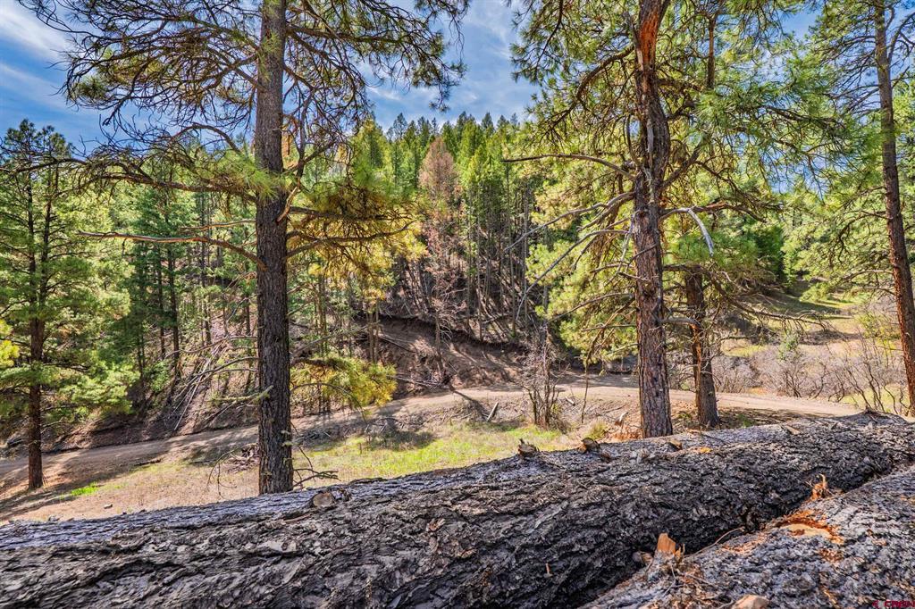 520A Whispering Wood Drive Pagosa Springs CO 81147