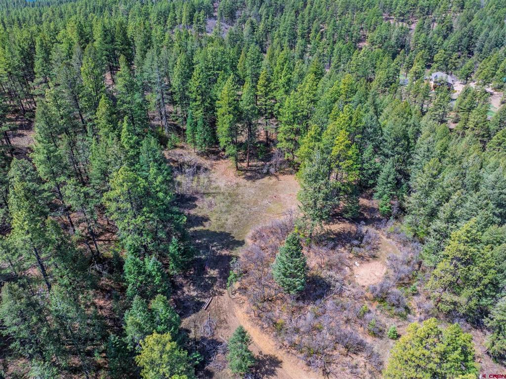 520A Whispering Wood Drive Pagosa Springs CO 81147