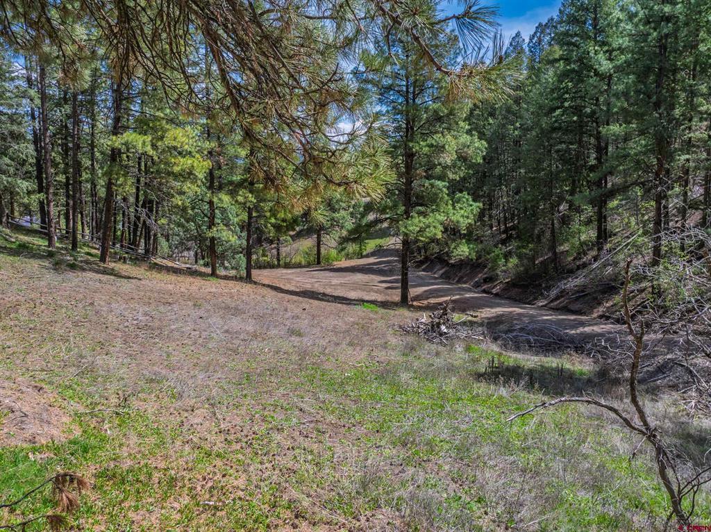 520A Whispering Wood Drive Pagosa Springs CO 81147