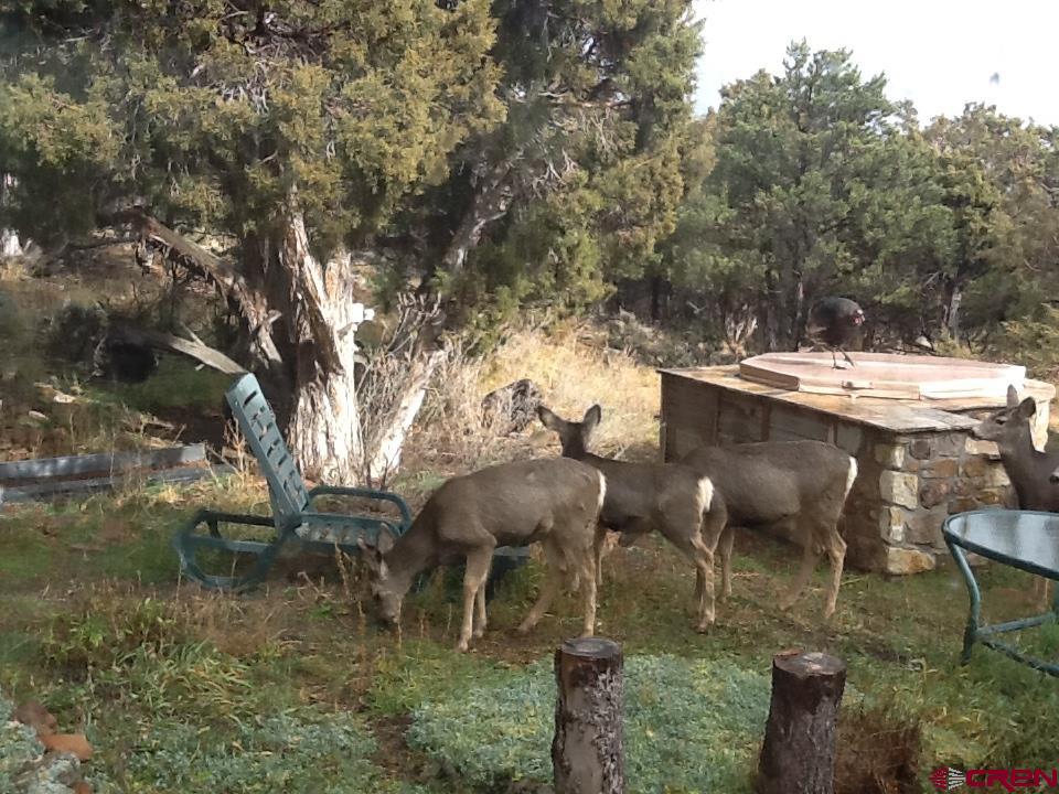 1917 County Road 22 Montrose CO 81403
