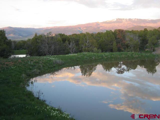 1917 County Road 22 Montrose CO 81403