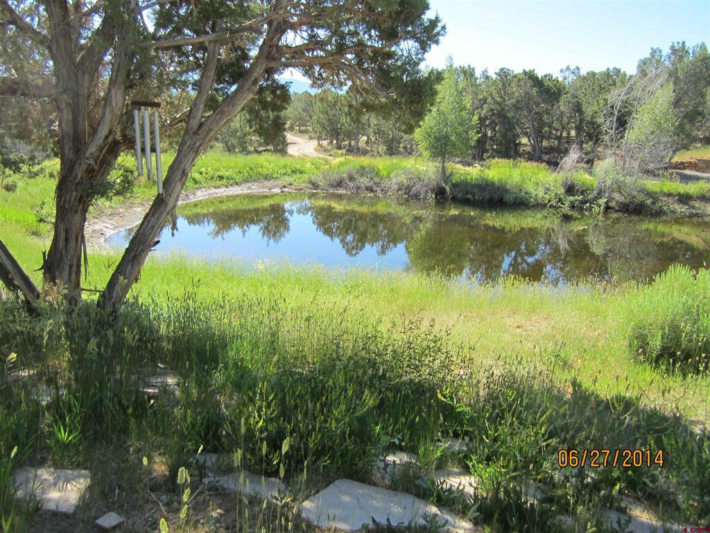 1917 County Road 22 Montrose CO 81403