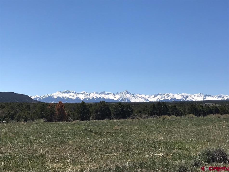 1917 County Road 22 Montrose CO 81403