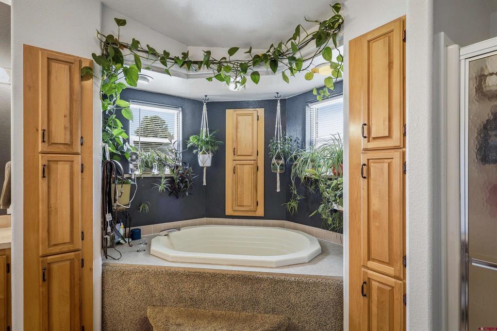 154 Woodsman Drive Pagosa Springs CO 81147