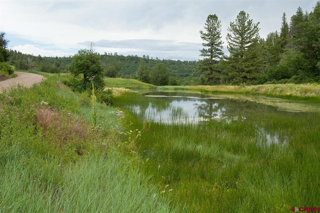 181 Hopkins Creek Trail Durango CO 81301