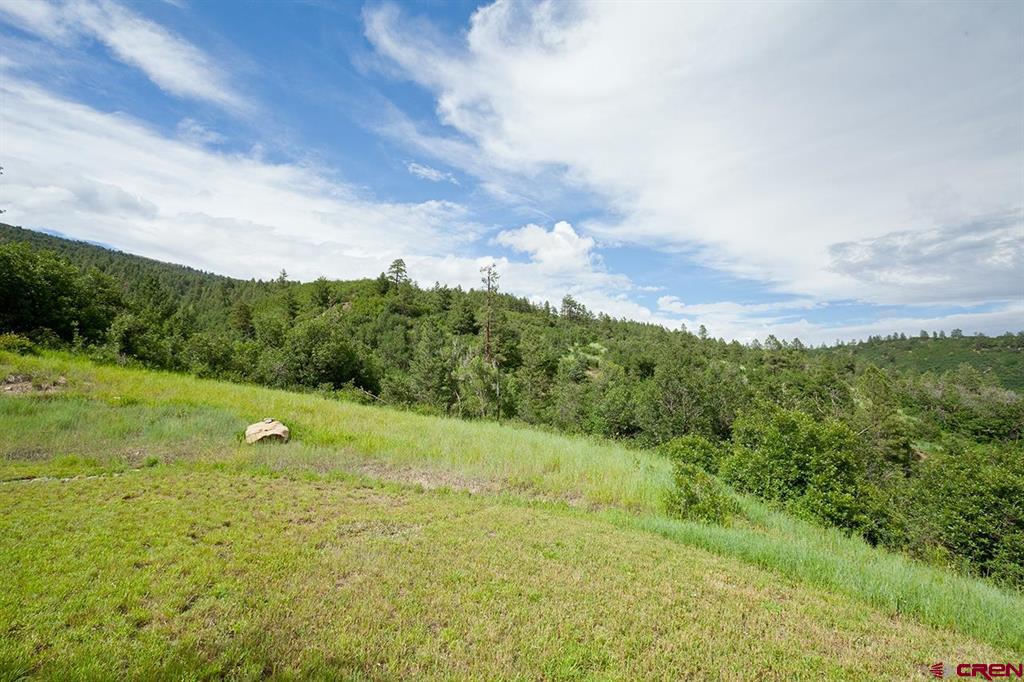 181 Hopkins Creek Trail Durango CO 81301