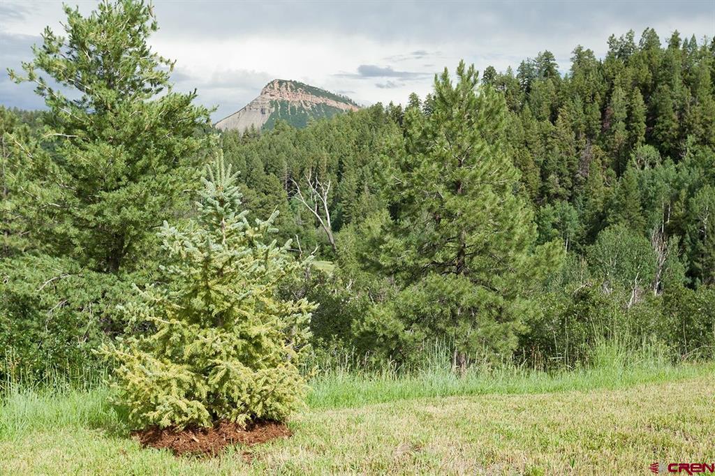 181 Hopkins Creek Trail Durango CO 81301
