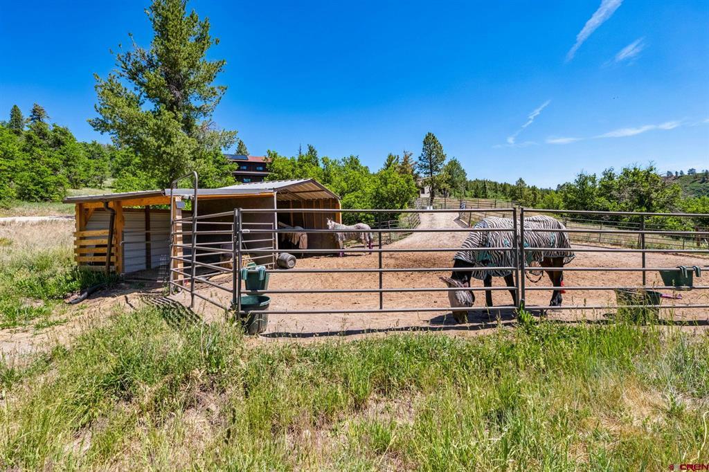 181 Hopkins Creek Trail Durango CO 81301