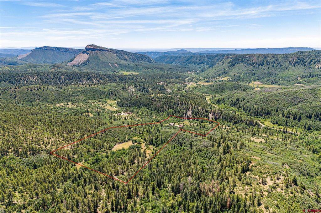 181 Hopkins Creek Trail Durango CO 81301