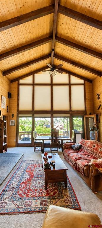 247 Deer Run South Fork CO 81154