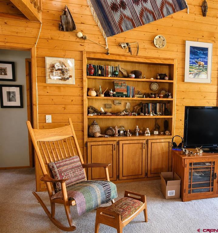 247 Deer Run South Fork CO 81154