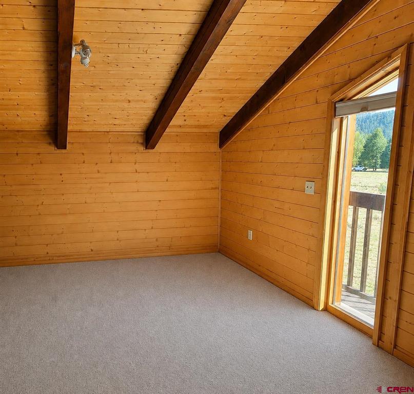 247 Deer Run South Fork CO 81154