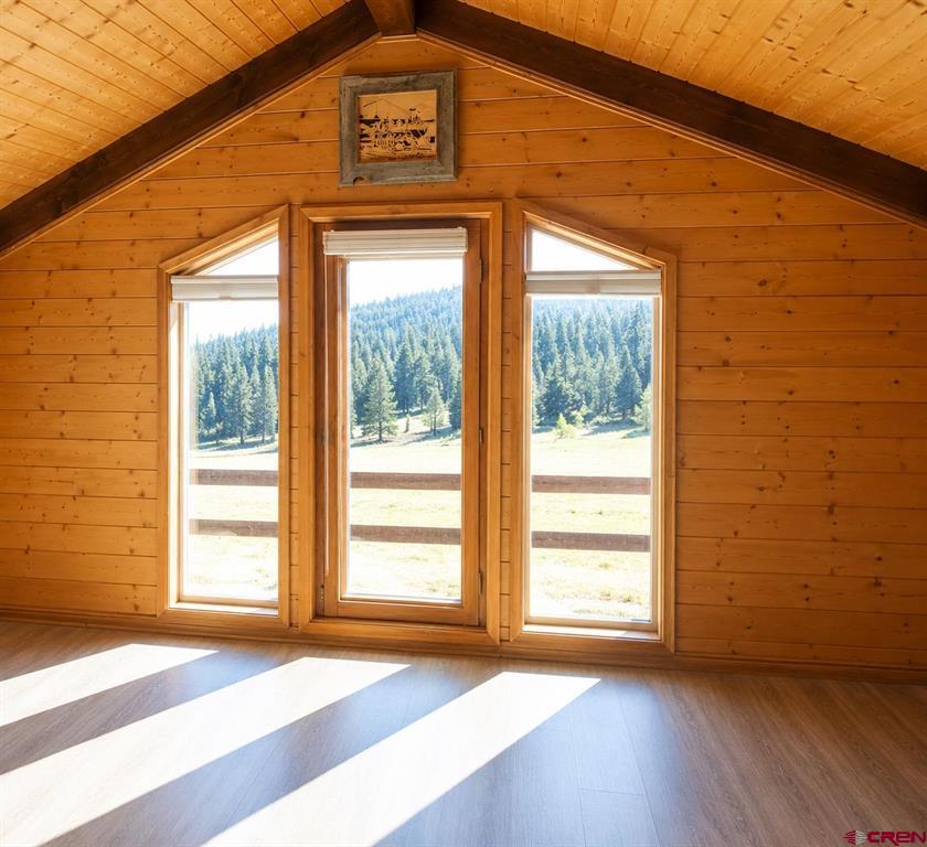 247 Deer Run South Fork CO 81154