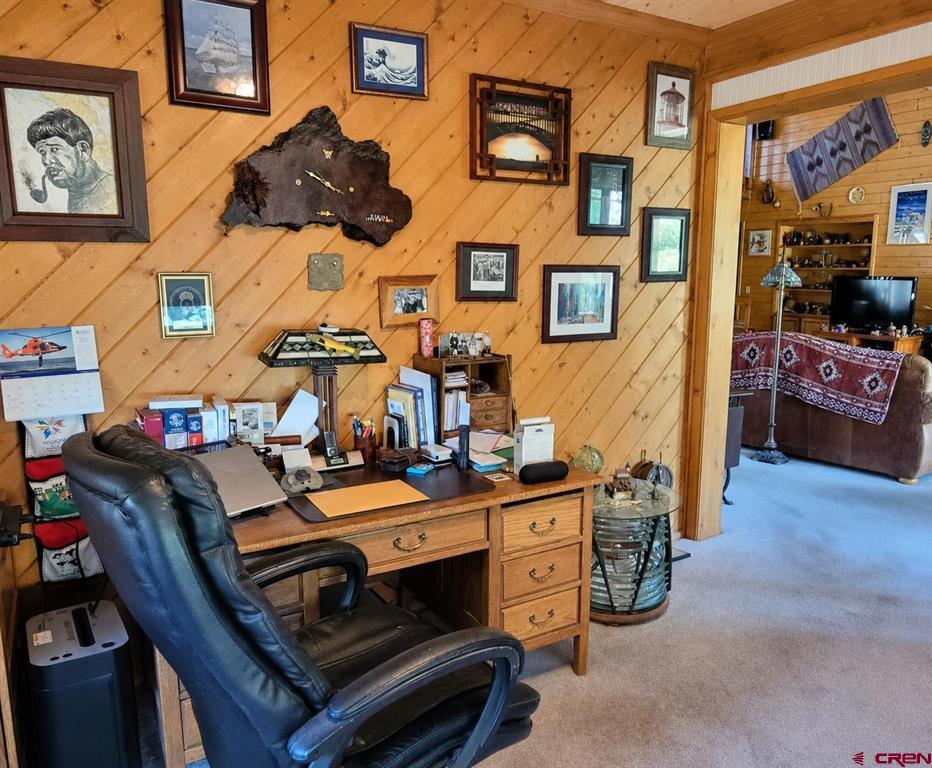 247 Deer Run South Fork CO 81154