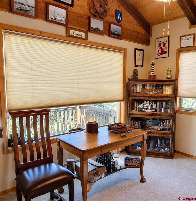 247 Deer Run South Fork CO 81154