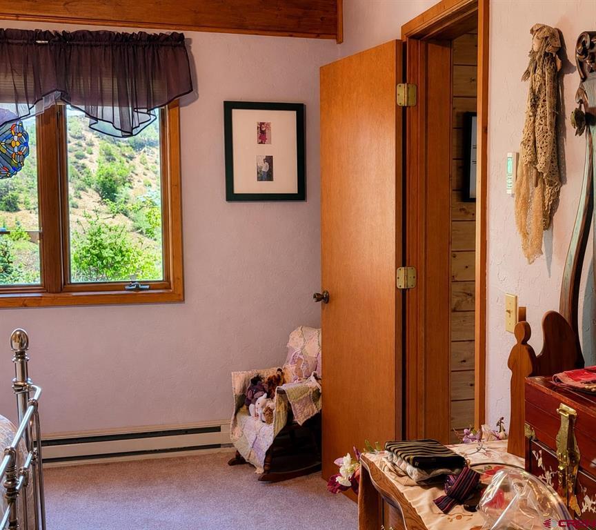 247 Deer Run South Fork CO 81154