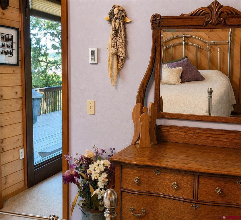 247 Deer Run South Fork CO 81154