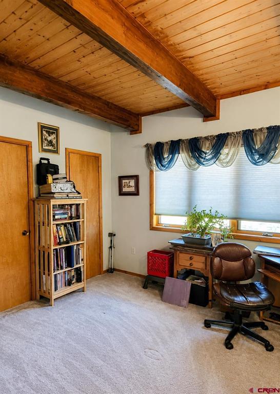 247 Deer Run South Fork CO 81154