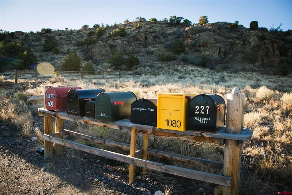 1080 Pronghorn Trail Del Norte CO 81132