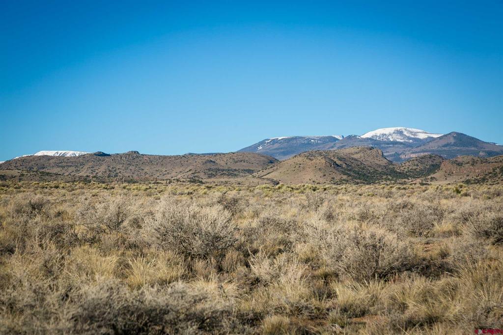 1080 Pronghorn Trail Del Norte CO 81132