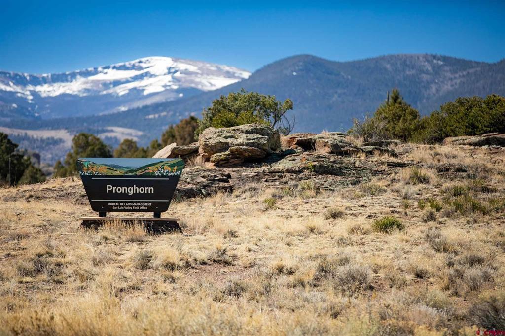 1080 Pronghorn Trail Del Norte CO 81132
