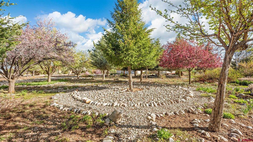 20473 Tulip Circle Montrose CO 81403
