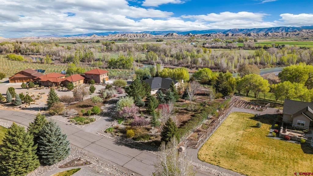 20473 Tulip Circle Montrose CO 81403