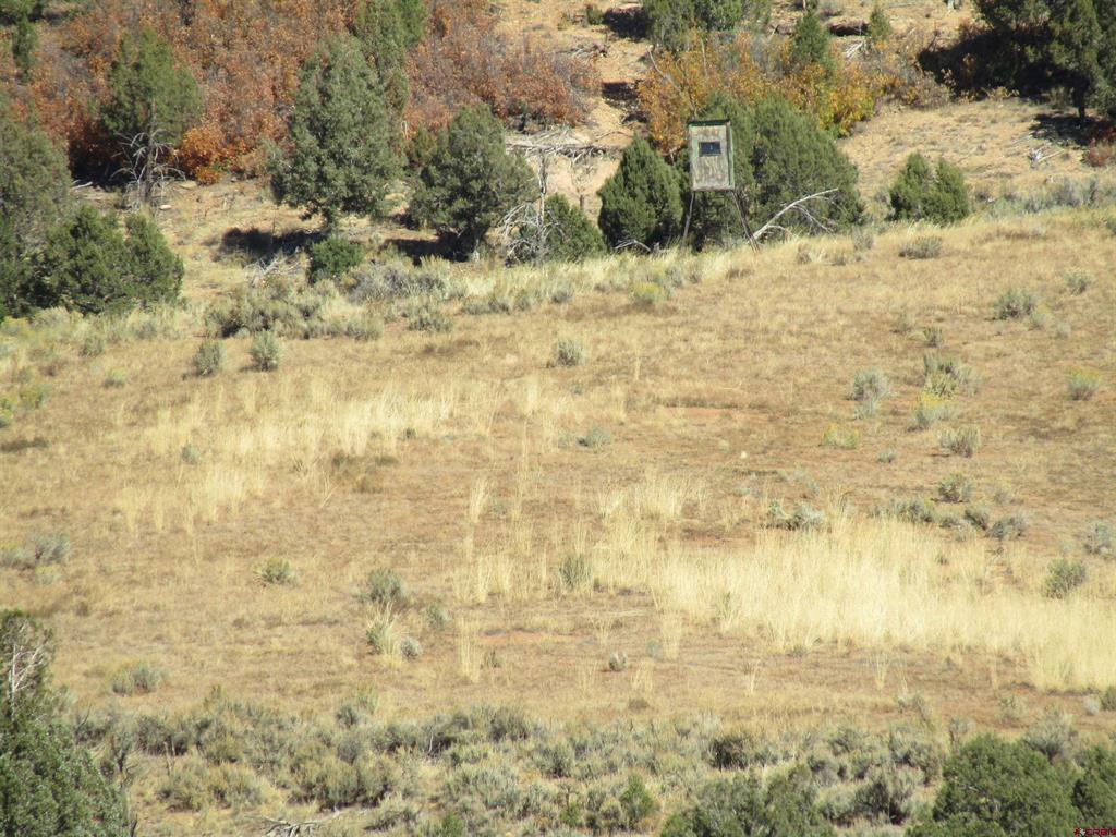 Xxx Cr Tbd Hesperus CO 81326