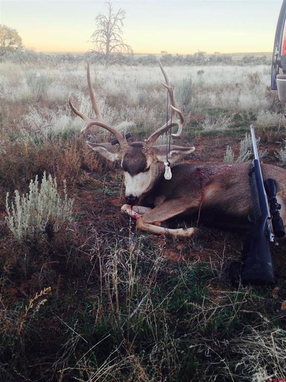 Xxx Cr Tbd Hesperus CO 81326