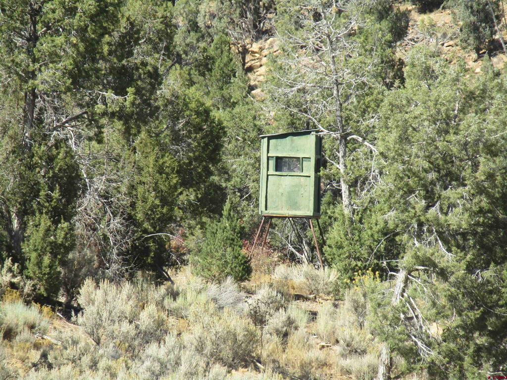 Xxx Cr Tbd Hesperus CO 81326