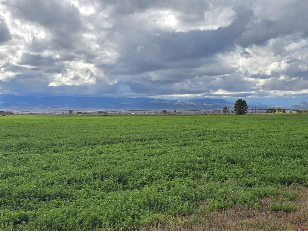 Tbd S County Road 4 E Monte Vista CO 81144