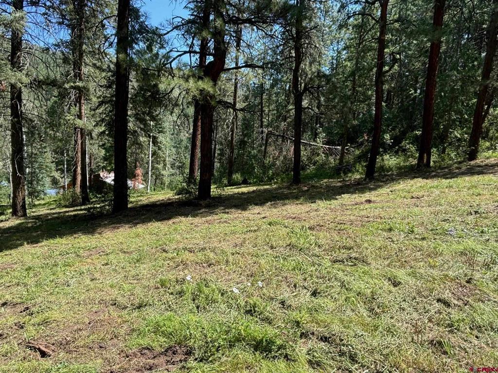 2237 Bear Creek Canyon Road Bayfield CO 81122