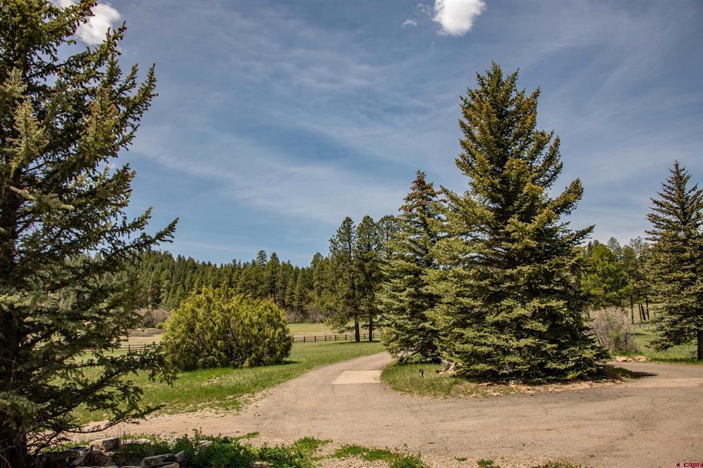 976 Hersch Avenue Pagosa Springs CO 81147