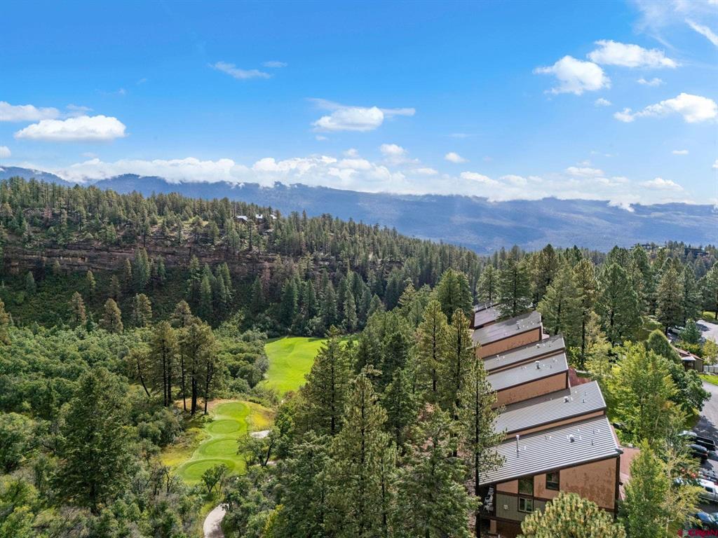 961 N Tamarron Drive Durango CO 81301