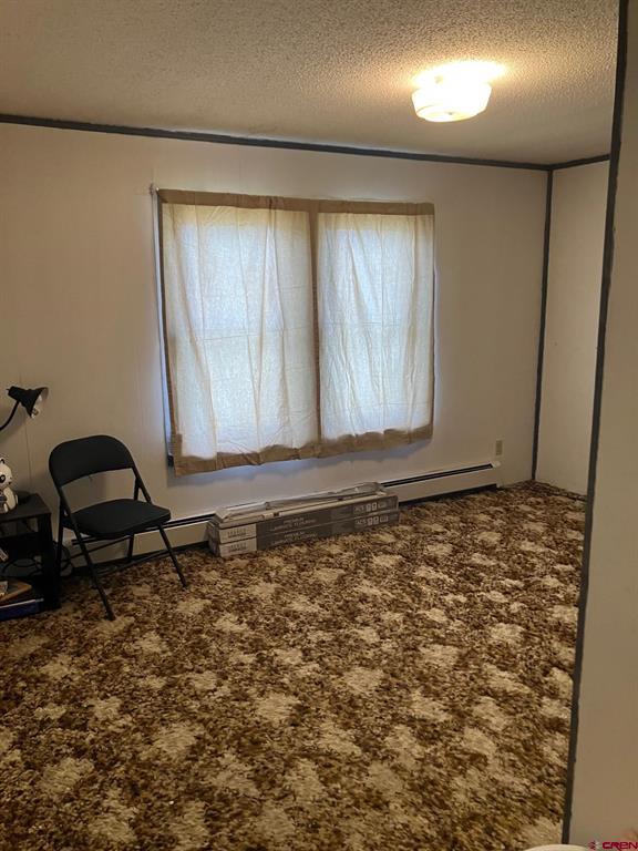 1115 W Tomichi Avenue Gunnison CO 81230