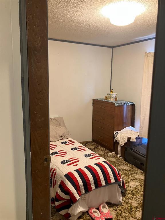 1115 W Tomichi Avenue Gunnison CO 81230