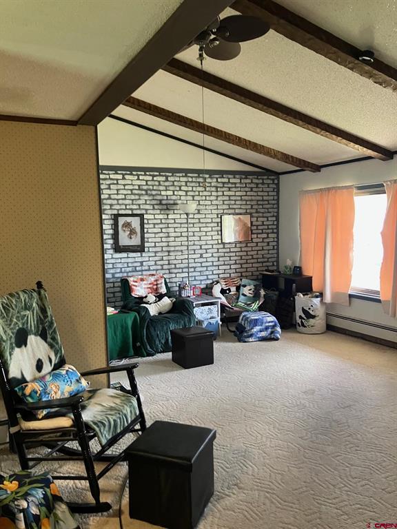1115 W Tomichi Avenue Gunnison CO 81230