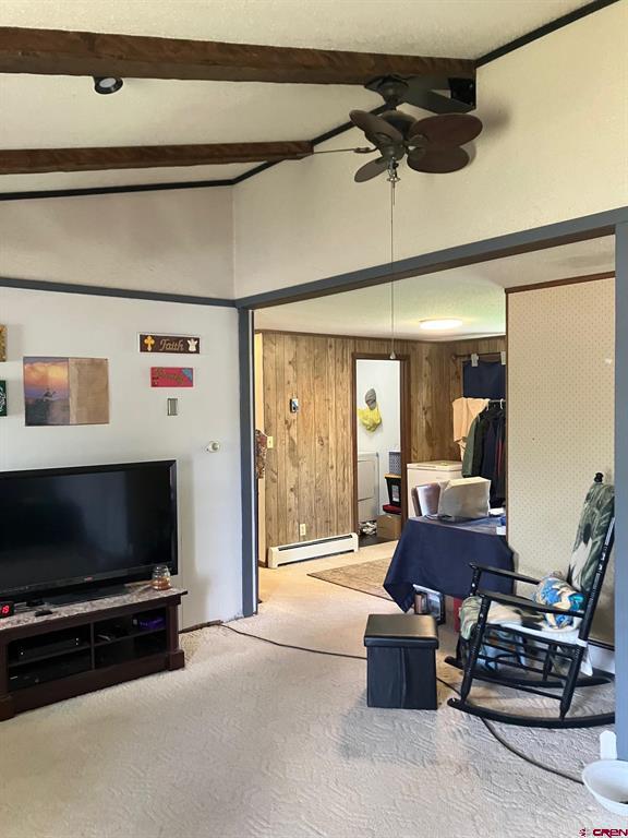 1115 W Tomichi Avenue Gunnison CO 81230