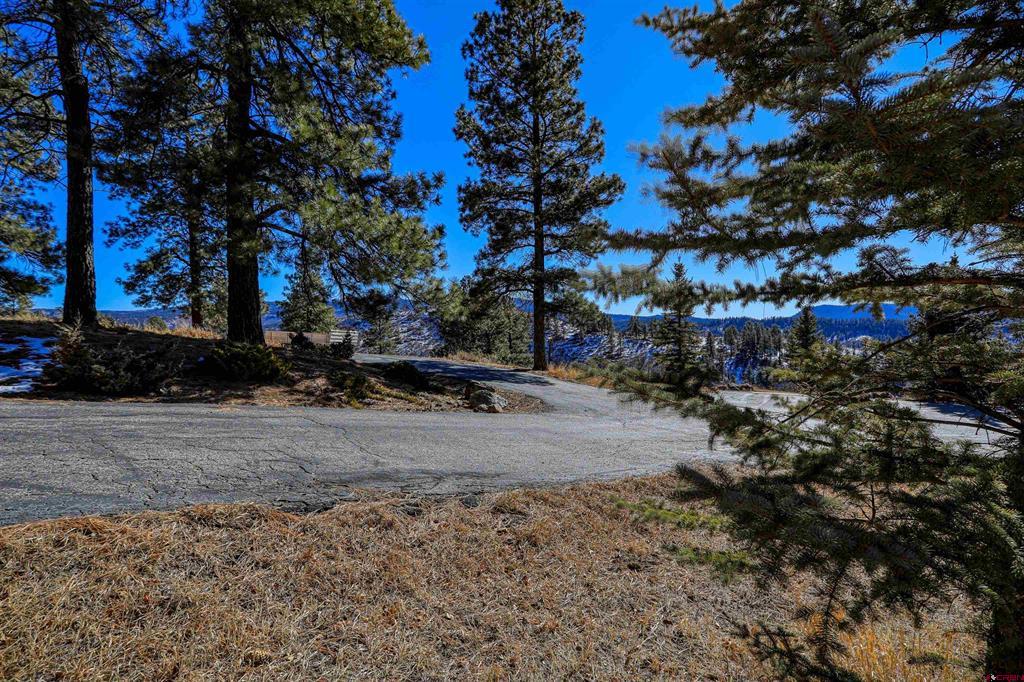 2613 Running Horse Place Pagosa Springs CO 81147