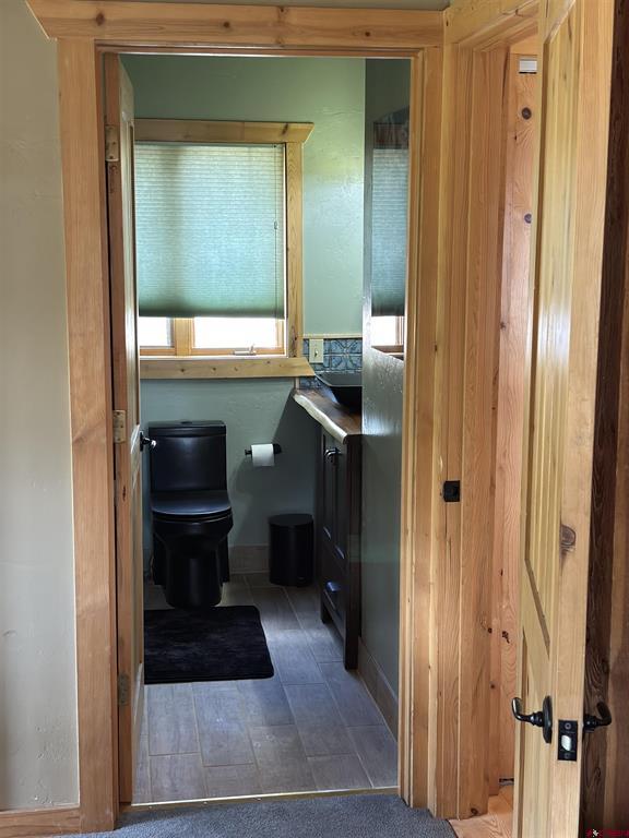 2613 Running Horse Place Pagosa Springs CO 81147