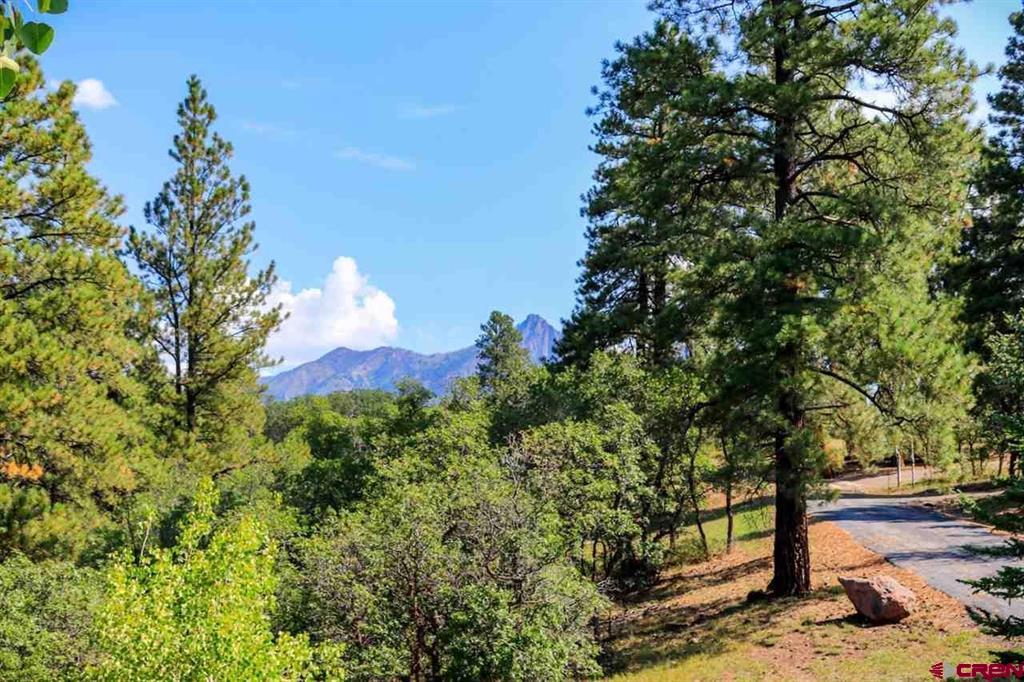 2613 Running Horse Place Pagosa Springs CO 81147