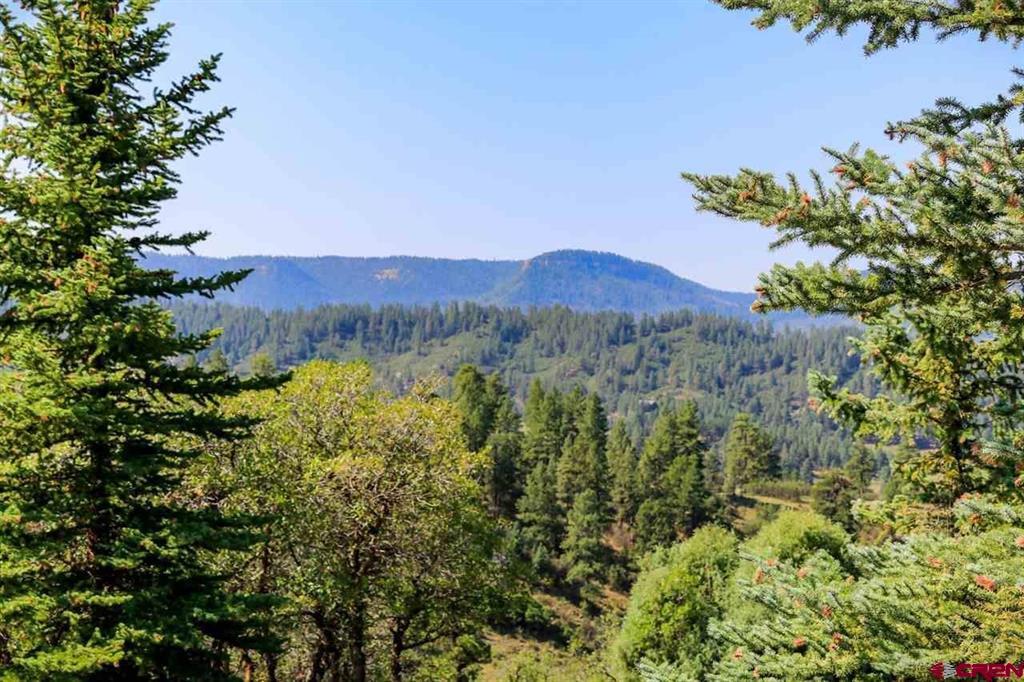 2613 Running Horse Place Pagosa Springs CO 81147