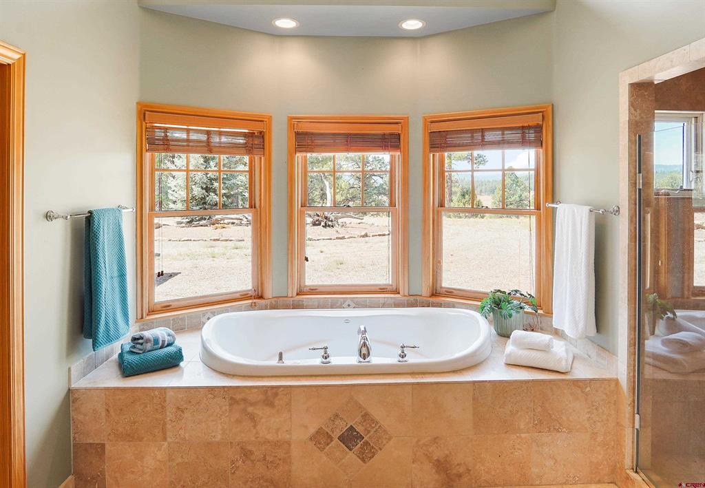 2817 Echo Canyon Ranch Lane Pagosa Springs CO 81147