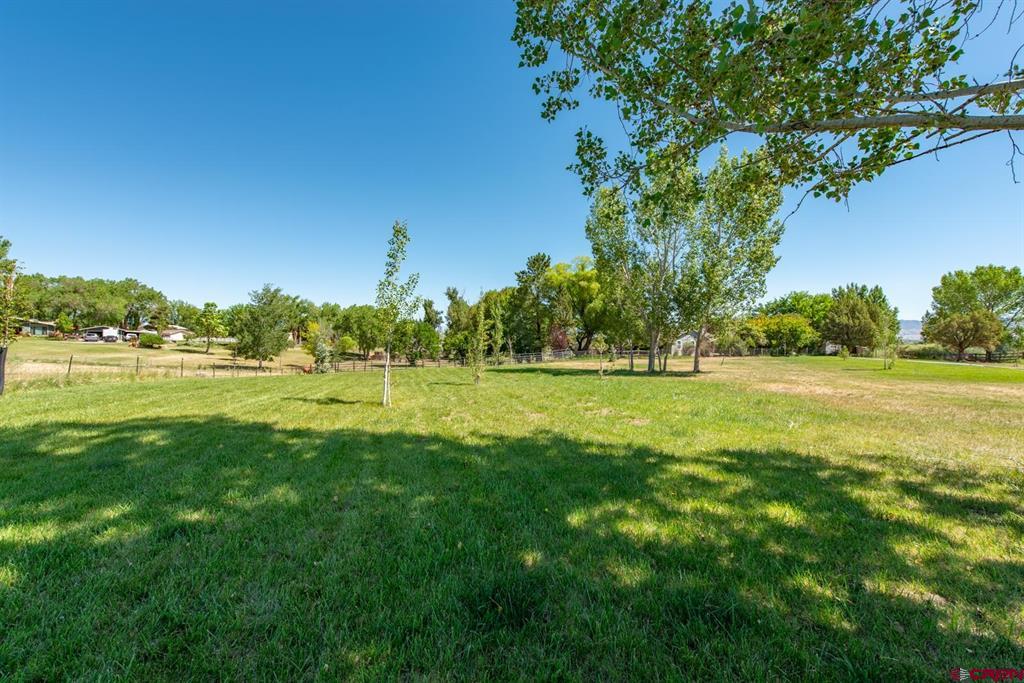 59959 Spring Creek Road Montrose CO 81403