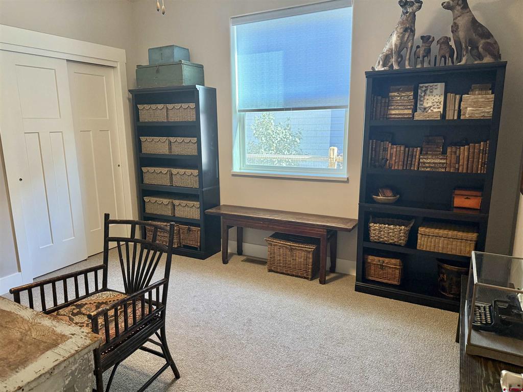 3701 Scarlet Court Montrose CO 81401