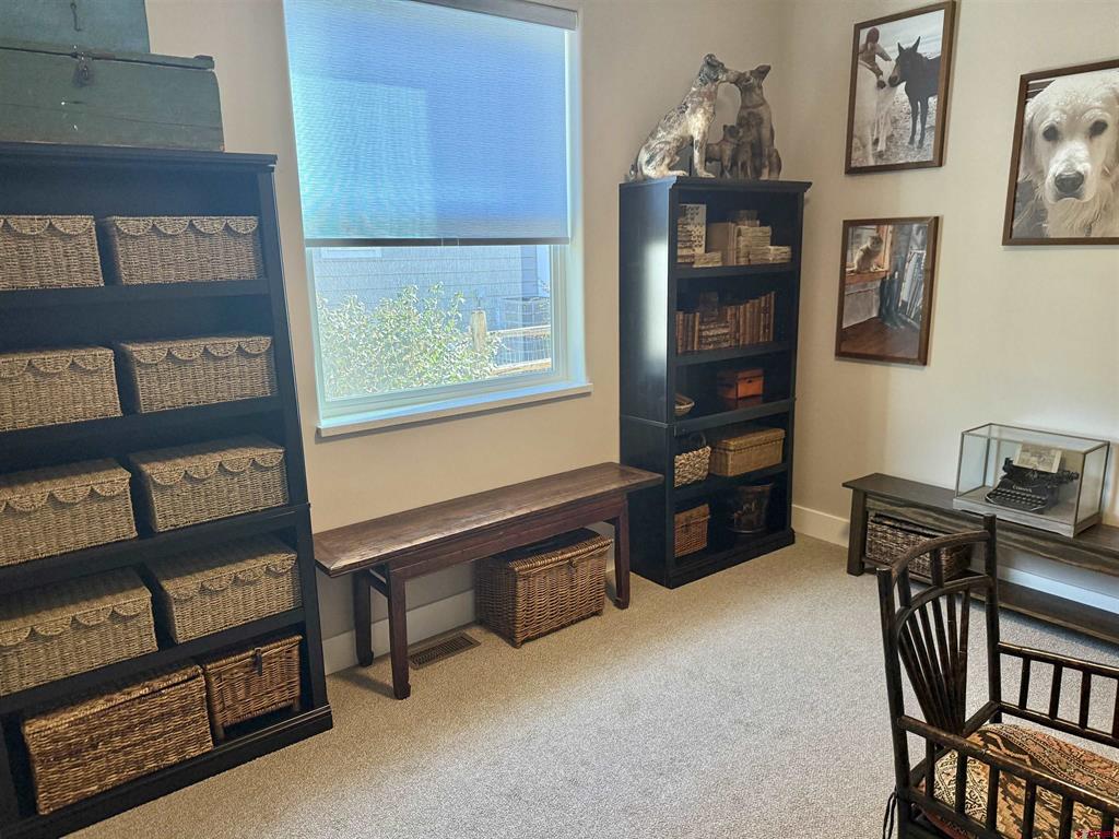 3701 Scarlet Court Montrose CO 81401