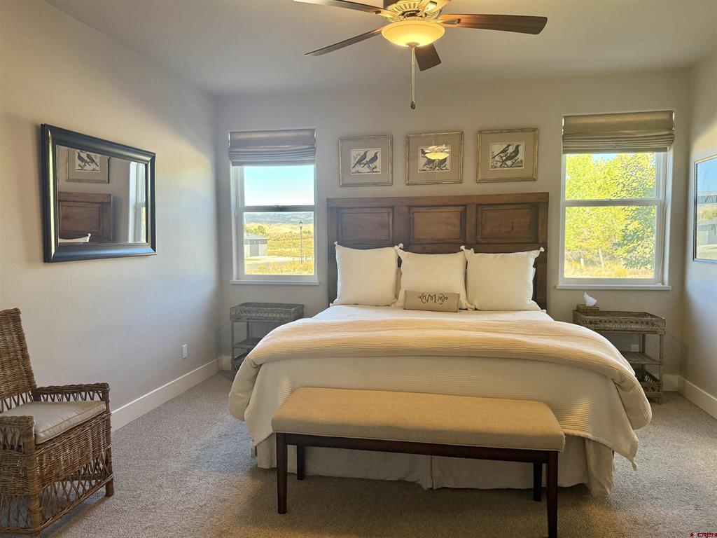 3701 Scarlet Court Montrose CO 81401