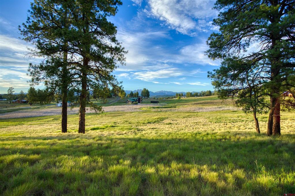 3366 Us Hwy 84 Highway Pagosa Springs CO 81147