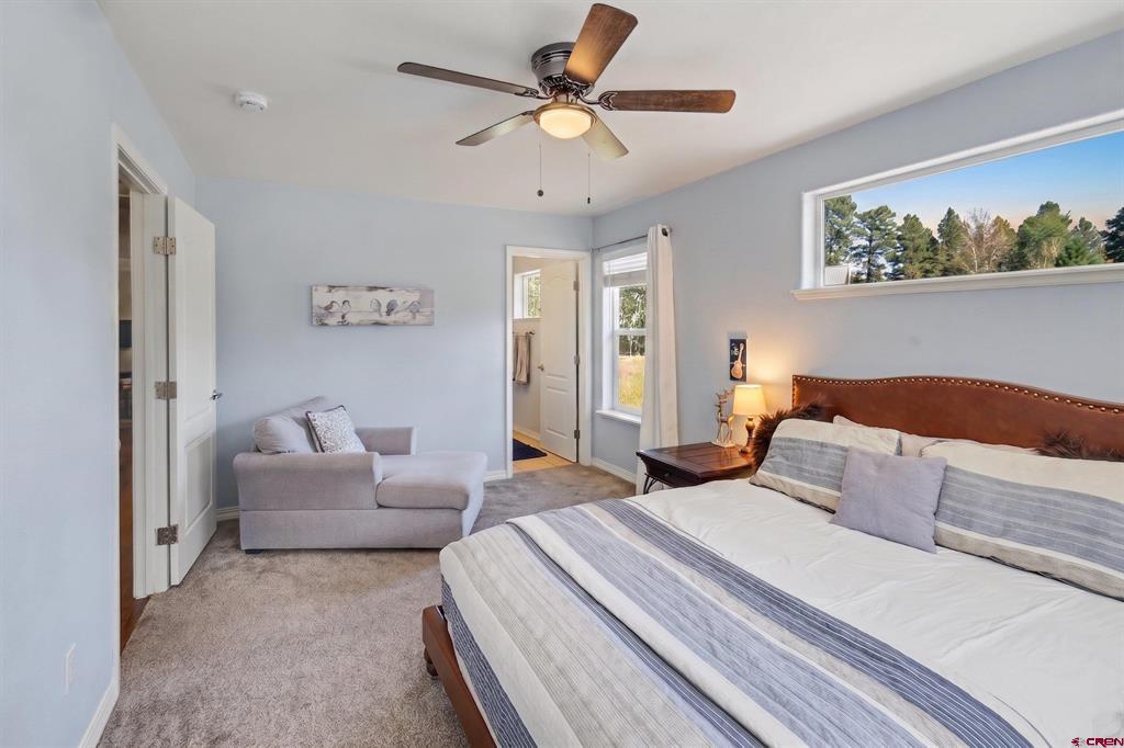 410 Pines Drive Pagosa Springs CO 81147